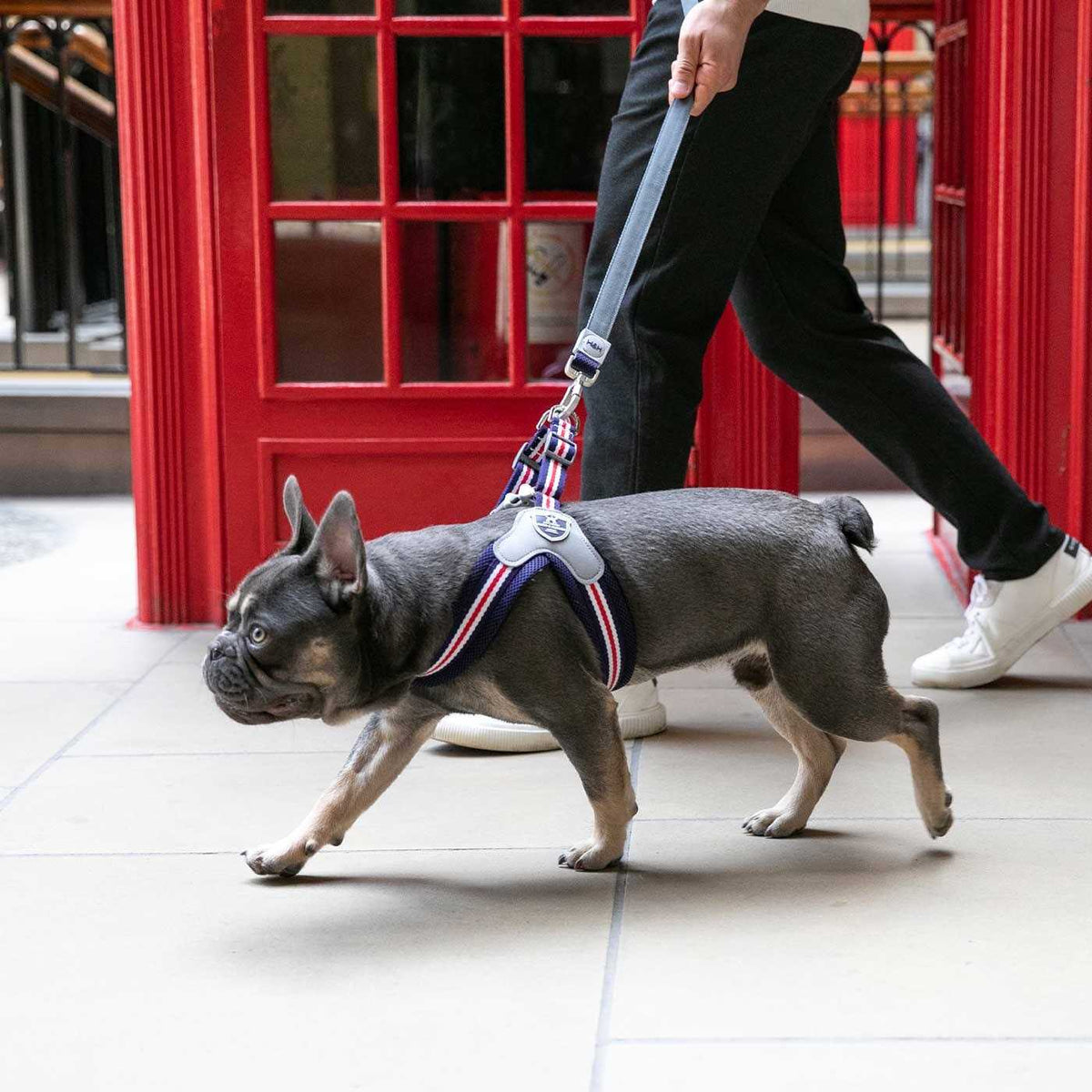 Dog Harness N9101