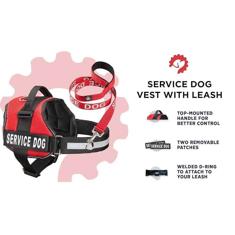 Service Dog Vest and Leash Set F496