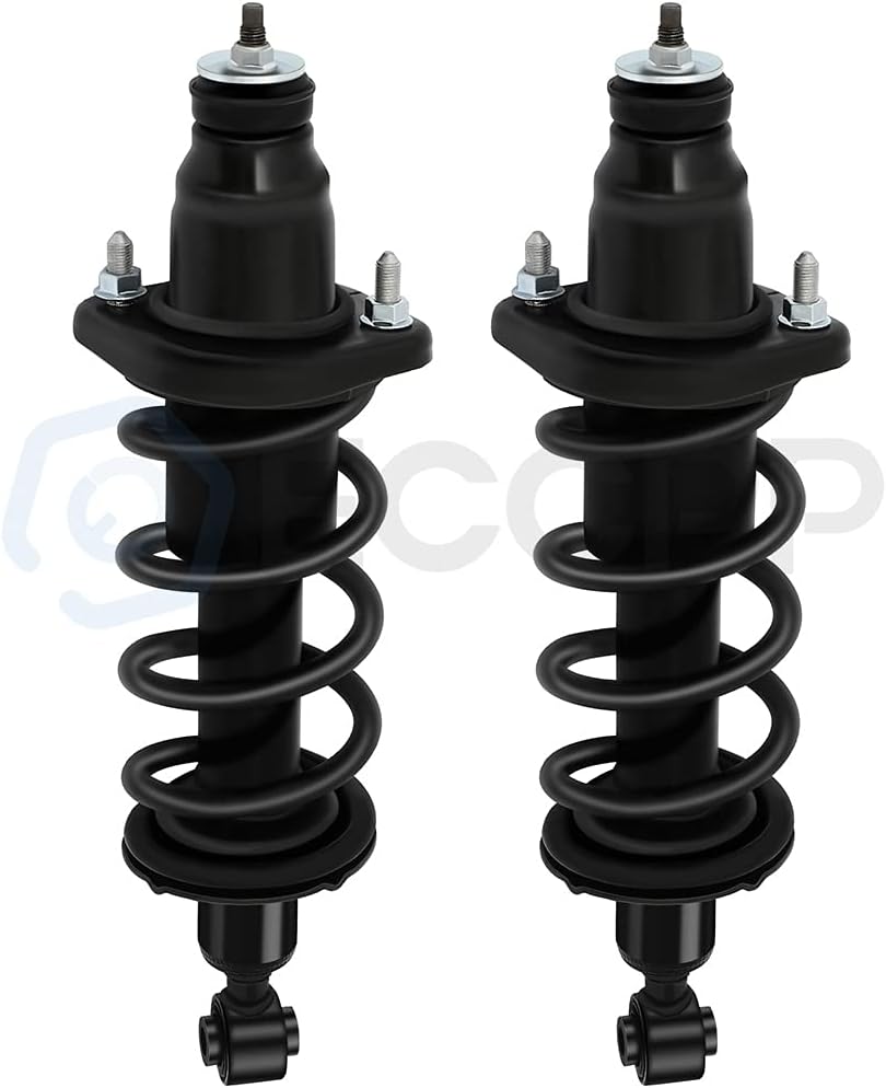 Complete Strut Assembly Shock Absorber 2pcs Rear Pair Z186