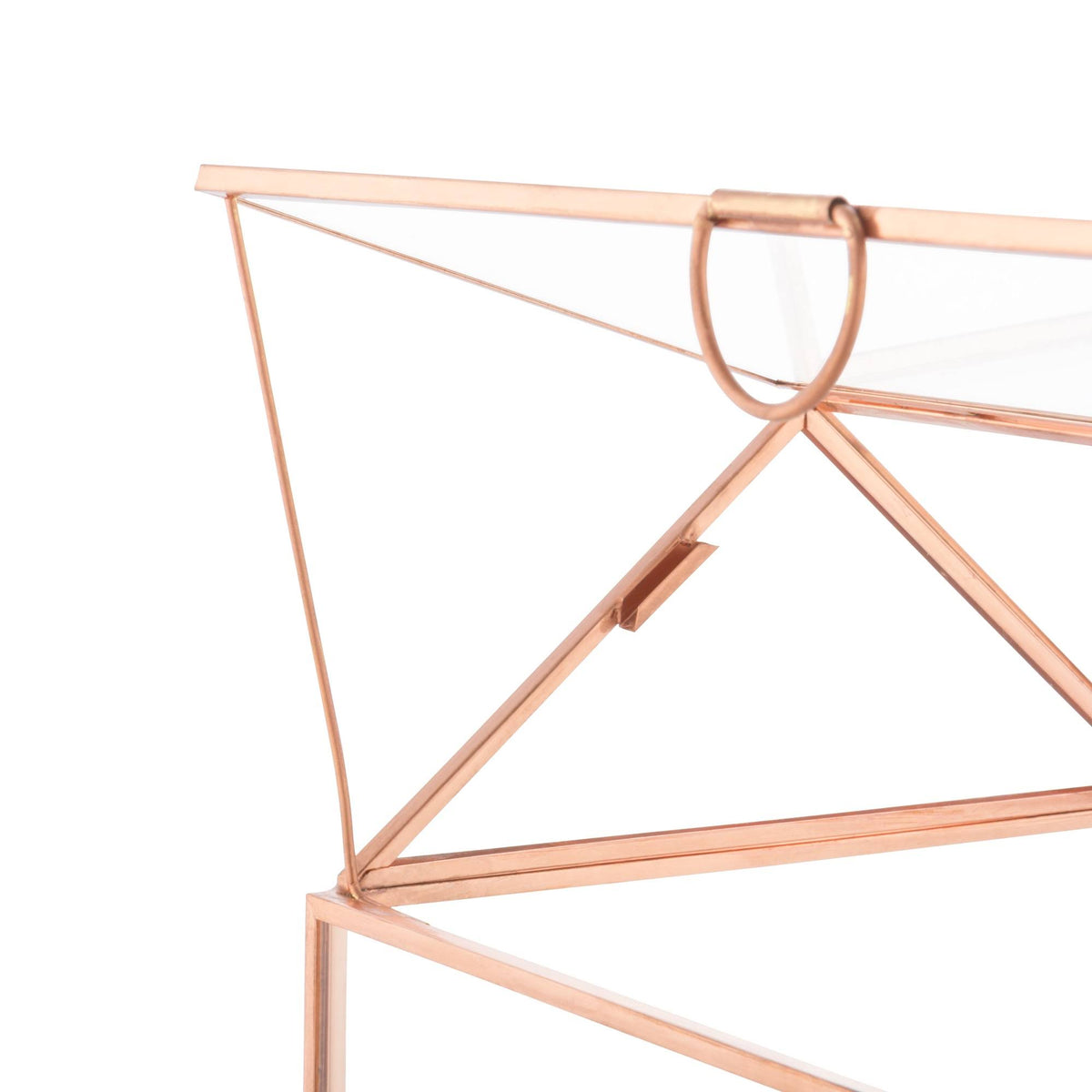 Glass Terrarium Card Holder, Rose Gold N455351