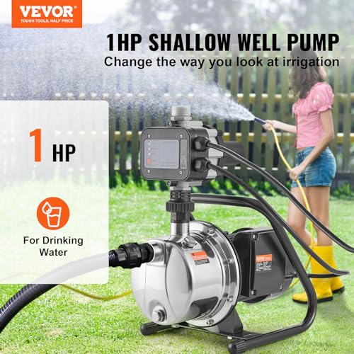 Shallow Jet Well Pump X768601