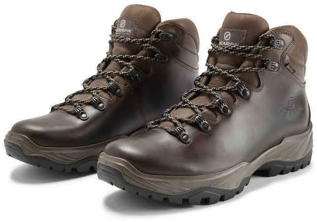 Brown Terra GTX Shoes P44495