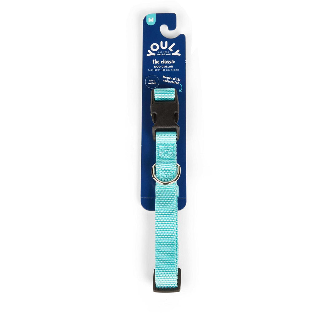Adjustable Dog Collar F619621