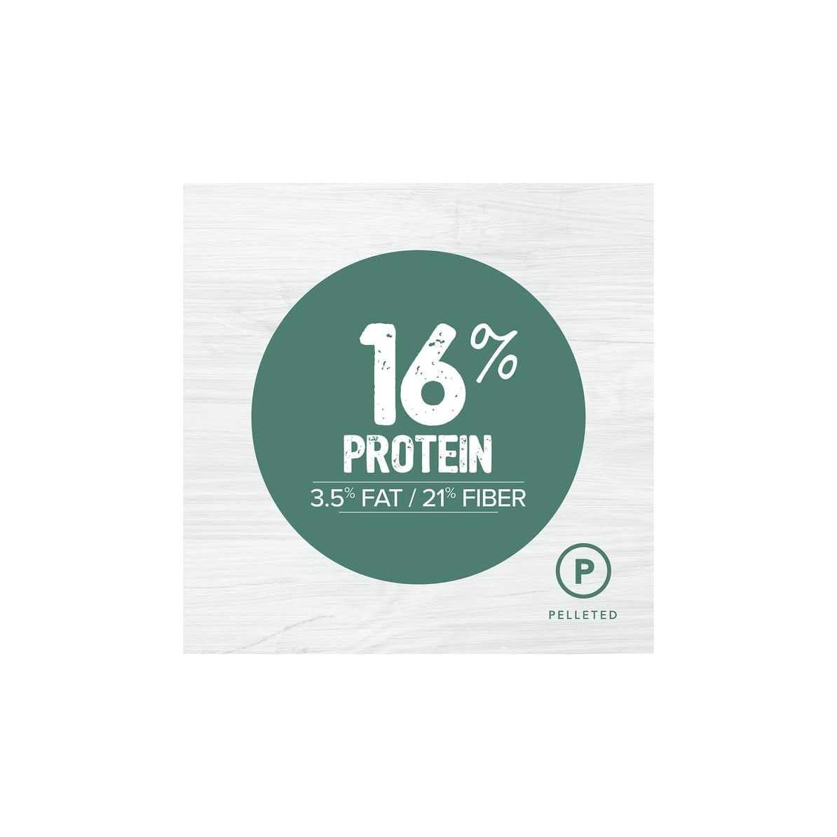 Rabbit Hutch L210971