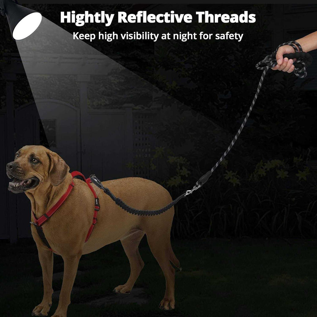 Heavy Duty Reflective Bungee Dog Leash O8496