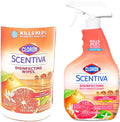 Tahitian Grapefruit Splash Disinfecting Multi-Surface Cleaner Spray & Disinfecting Wipes D4931