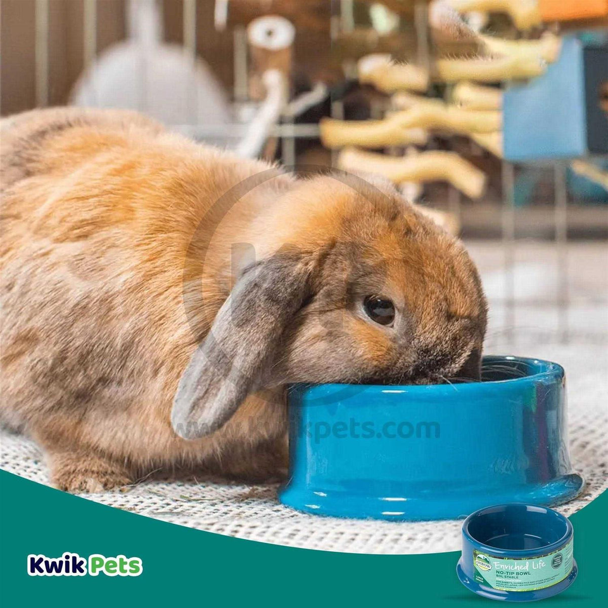Small Animal Bowl W26943