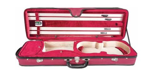 Green 4/4 Violin Case G676