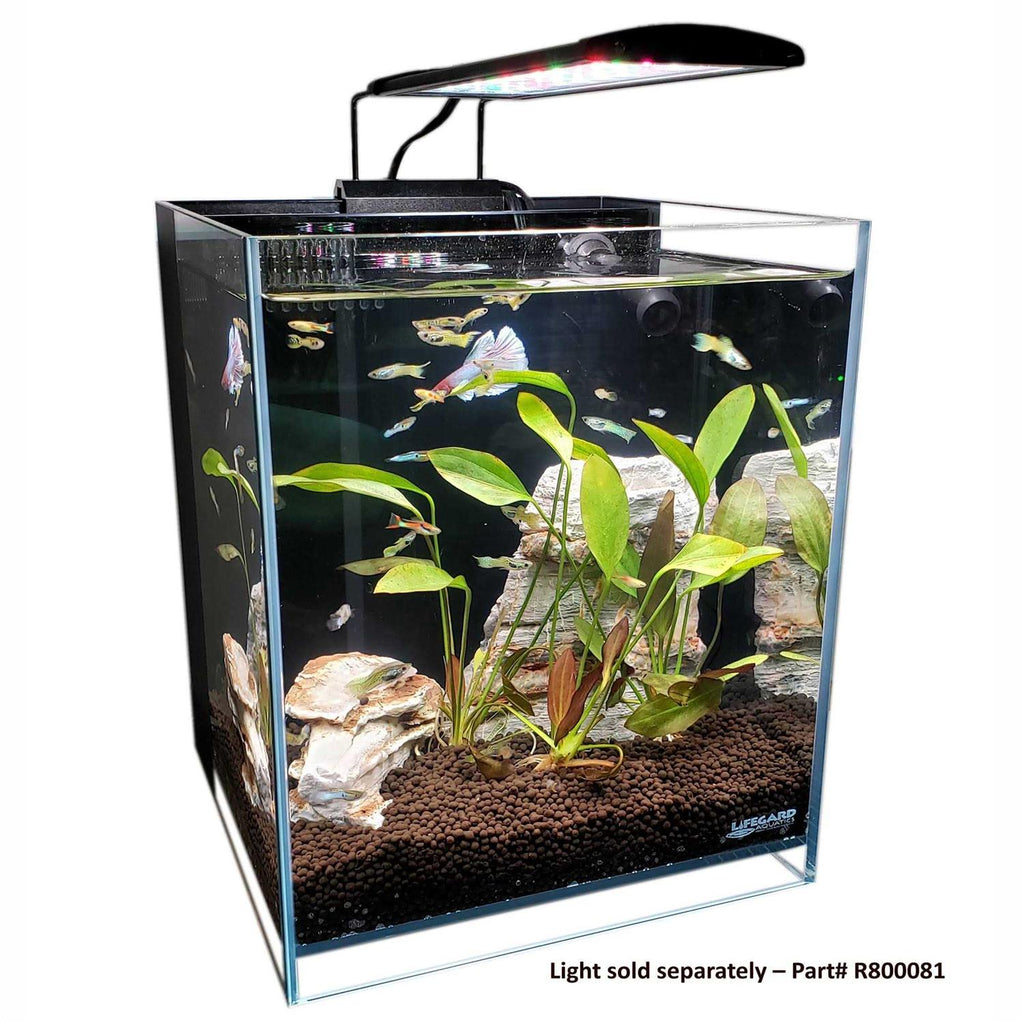 Ultra Low Iron Glass Aquarium with Filter B466
