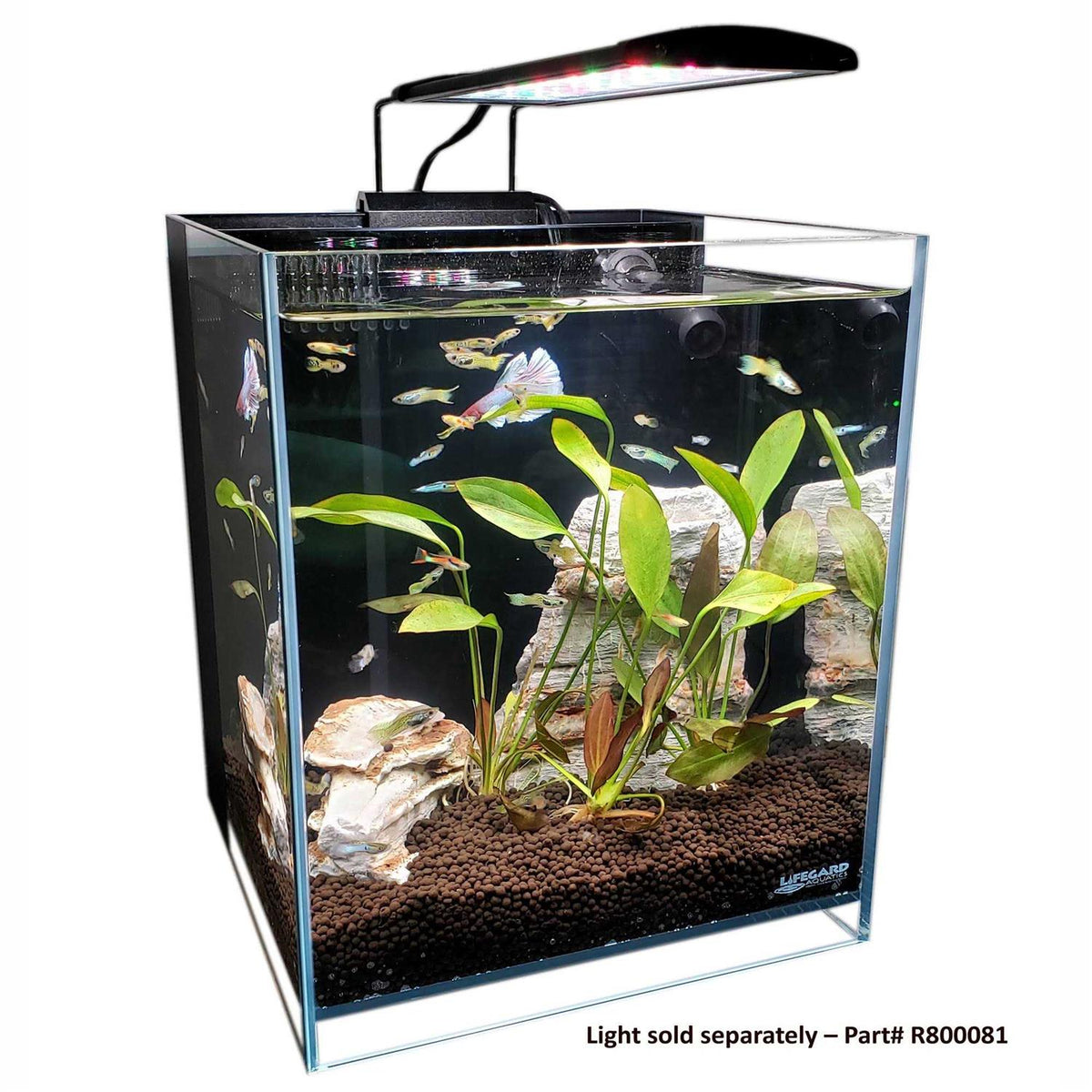 Ultra Low Iron Glass Aquarium with Filter B466
