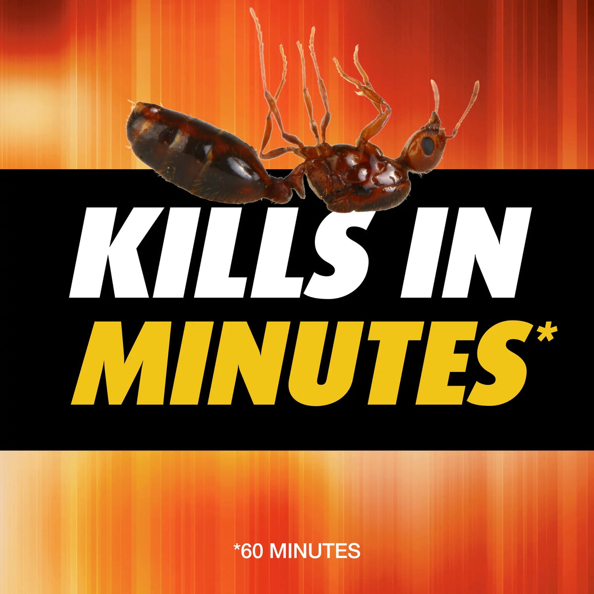 Fire Ant Killer 12 oz K424