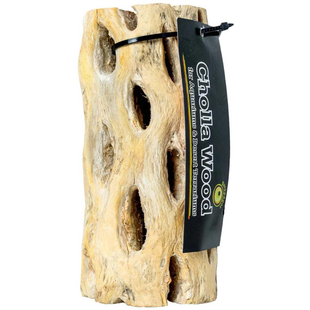 Cholla Wood T950