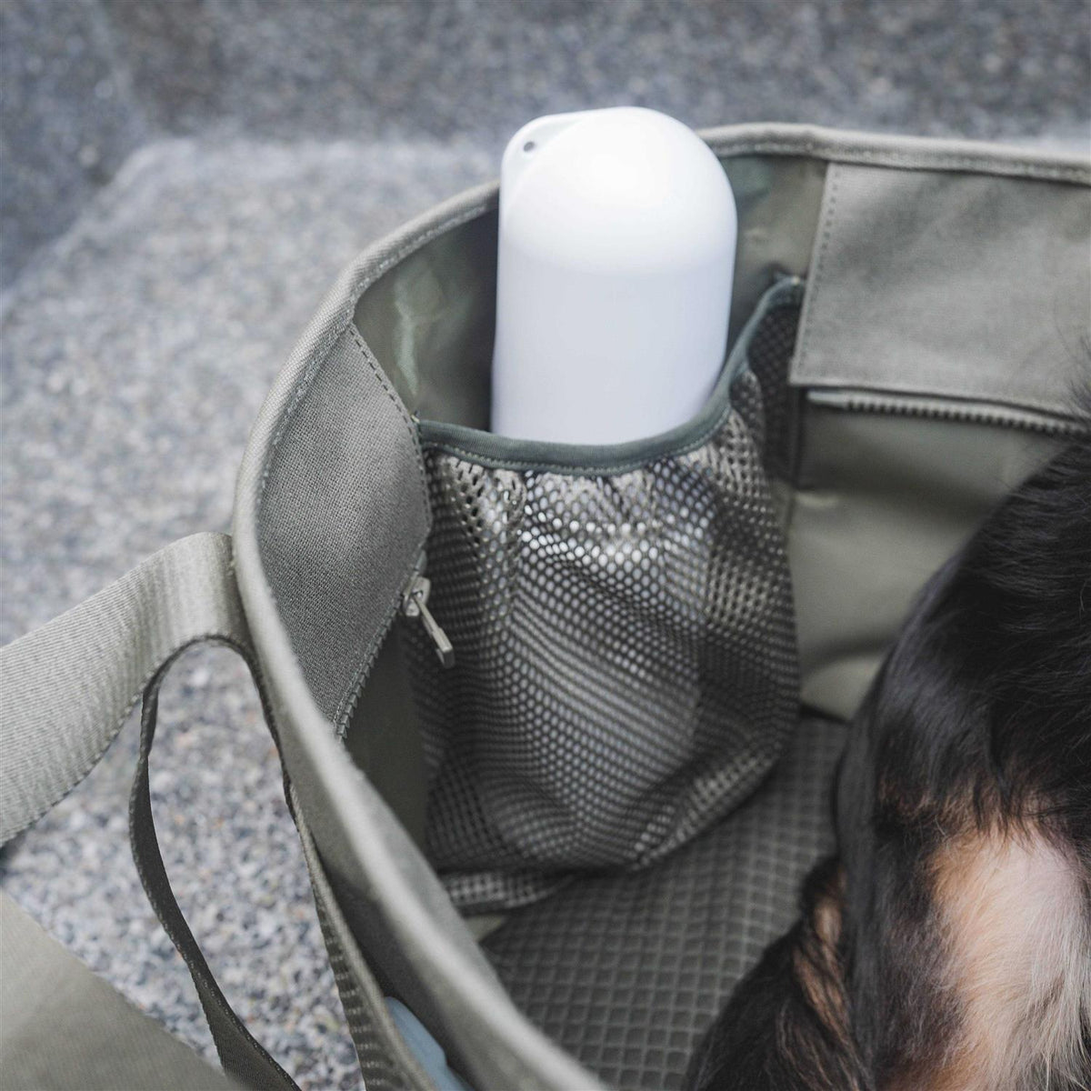 Canvas Lightweight Water Resistant Small Dog Carrier C902529