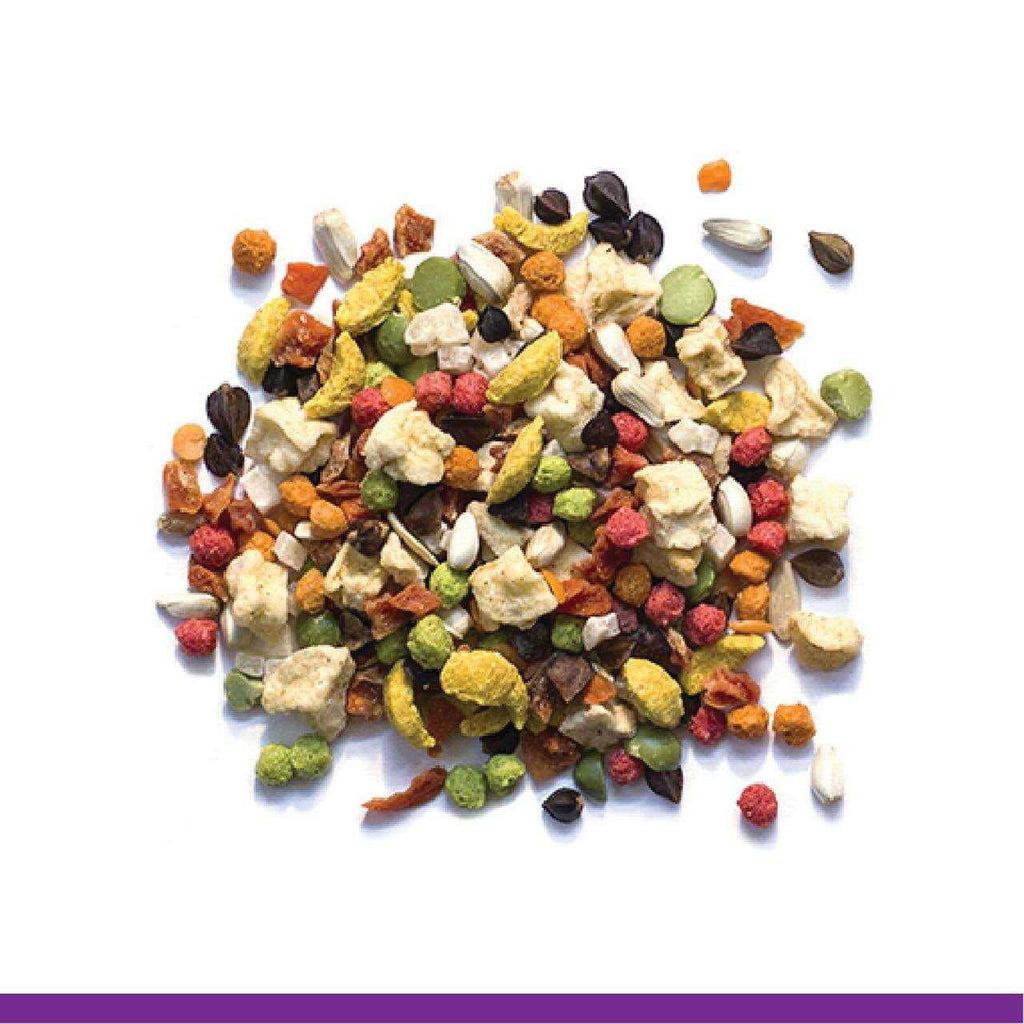 Pure Fun Bird Food D688