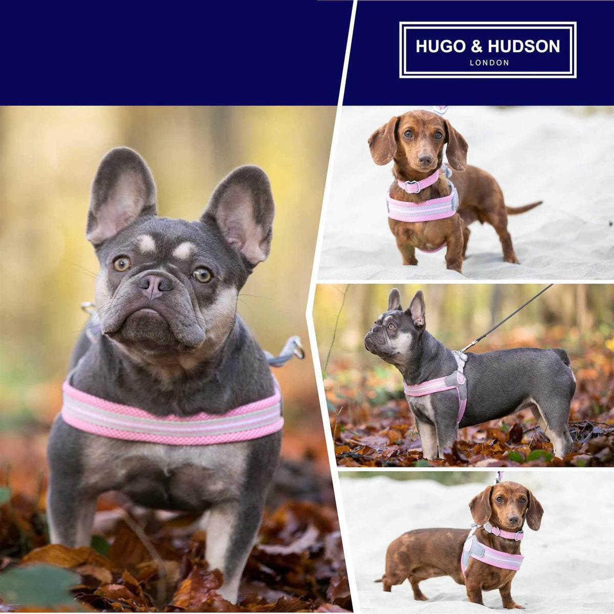 Dog Harness N9101
