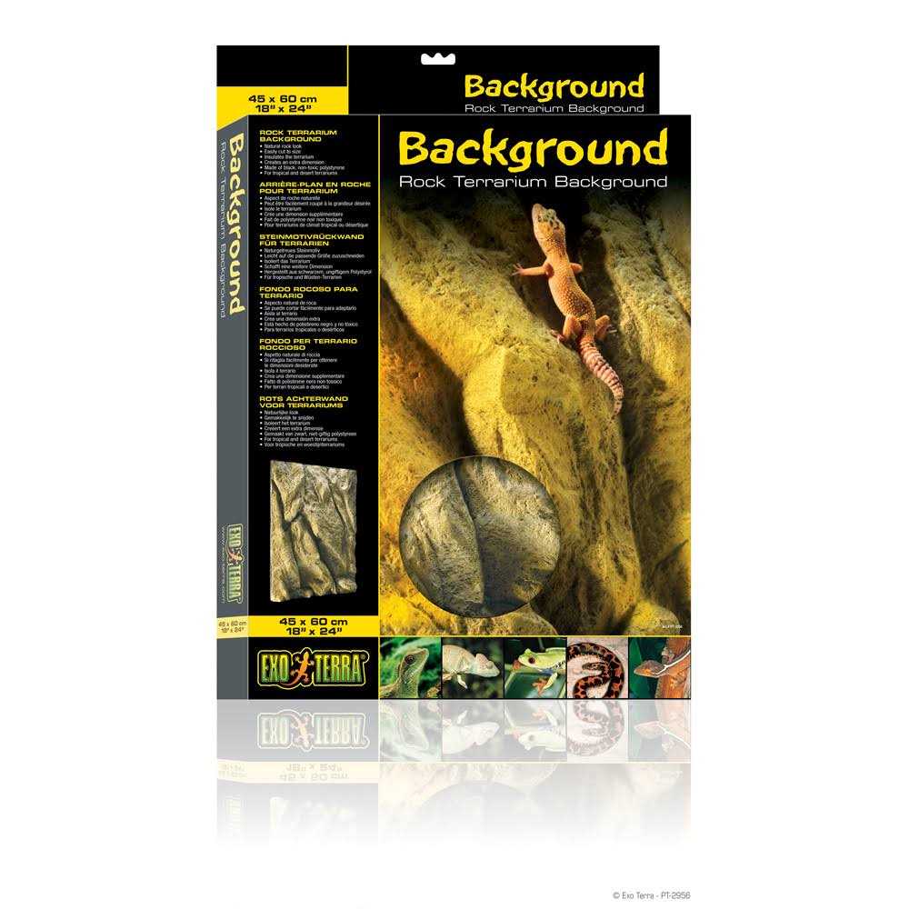 Rock Terrarium Background B3862