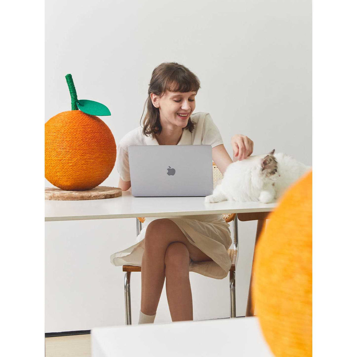 Cat Scratching Ball Toy P32713