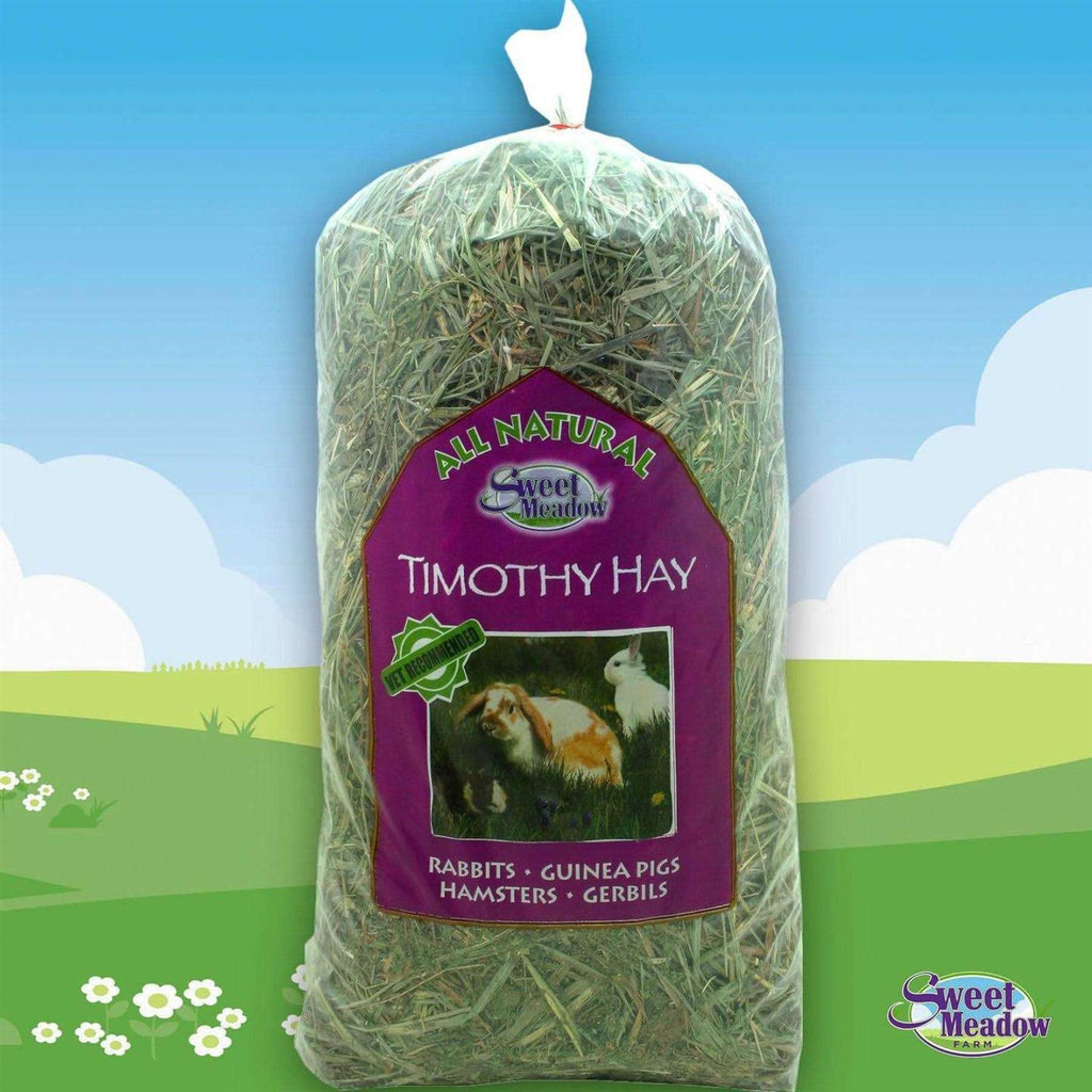 Timothy Hay Z1314