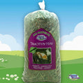 Timothy Hay Z1314