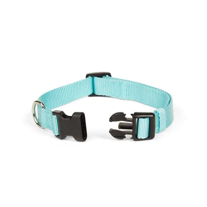 Adjustable Dog Collar F619621