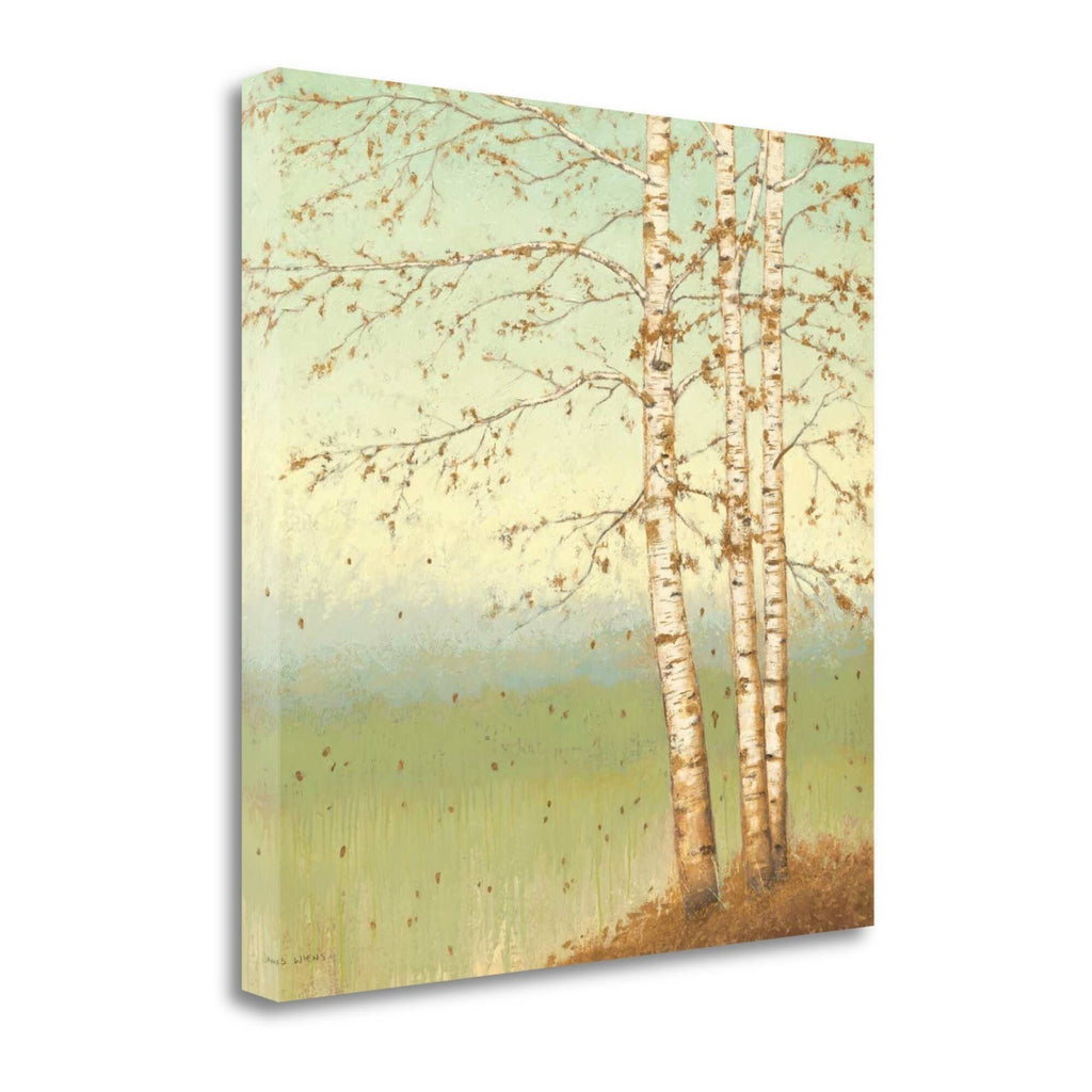 Golden Birch II with Blue Sky Giclee on Gallery Wrap Canvas H805