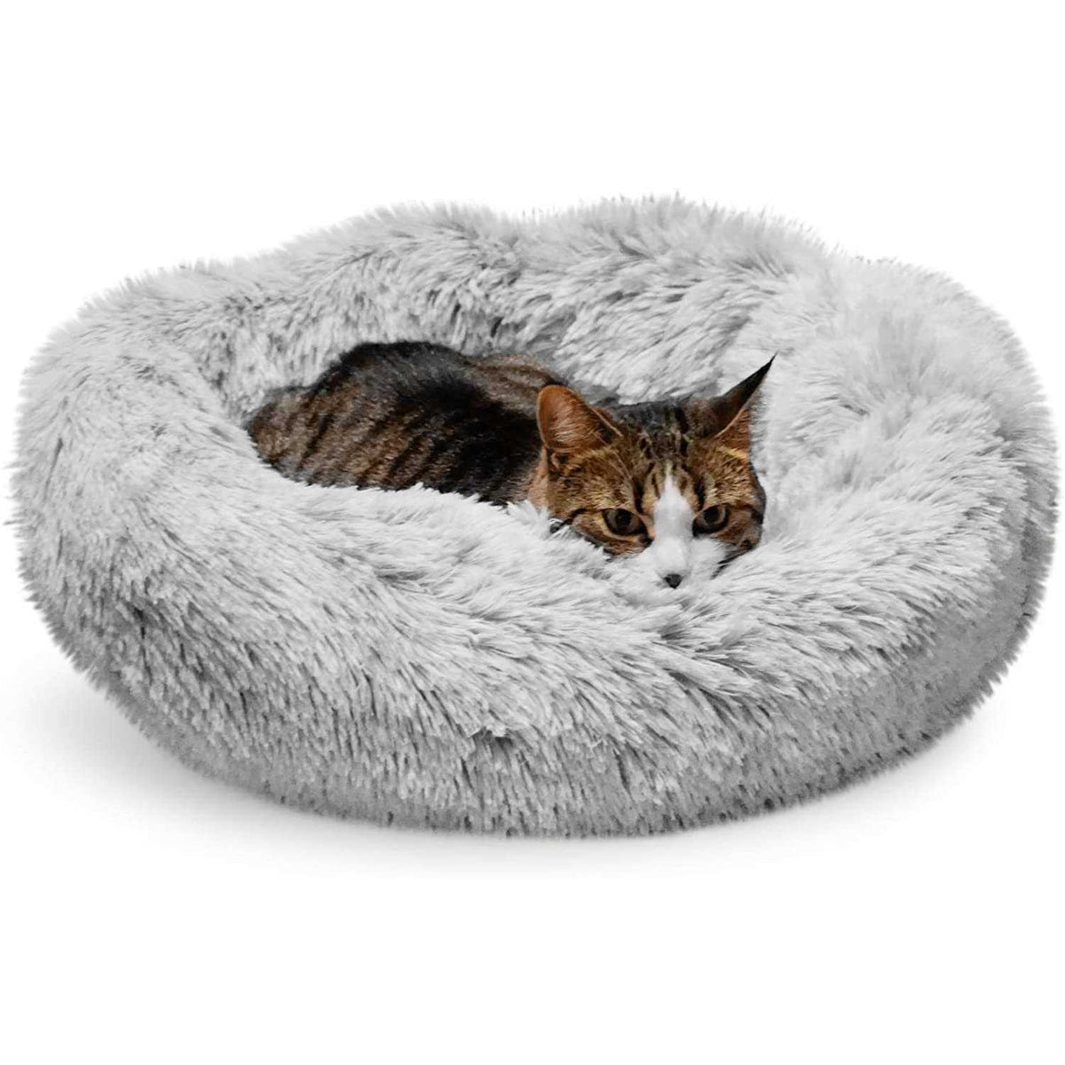 Cat Bed for Indoor Cats A831