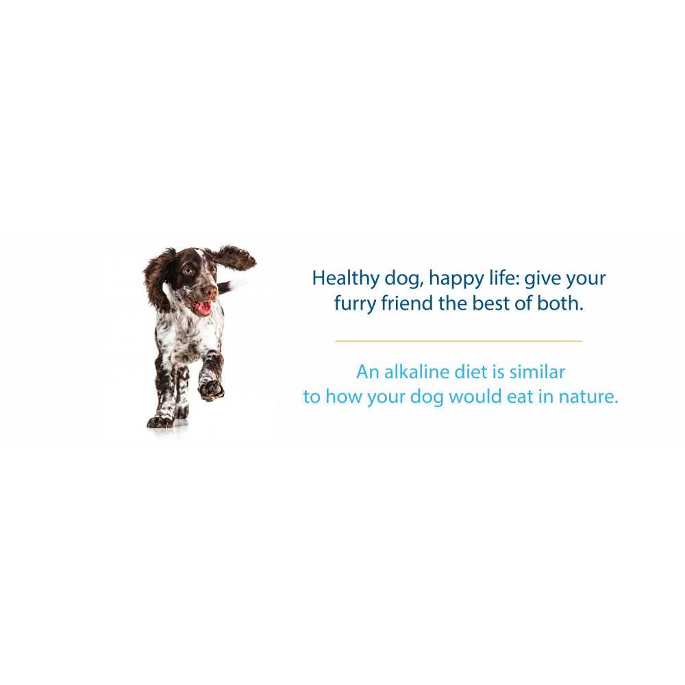 Grain Free Dry Dog Food Z4959
