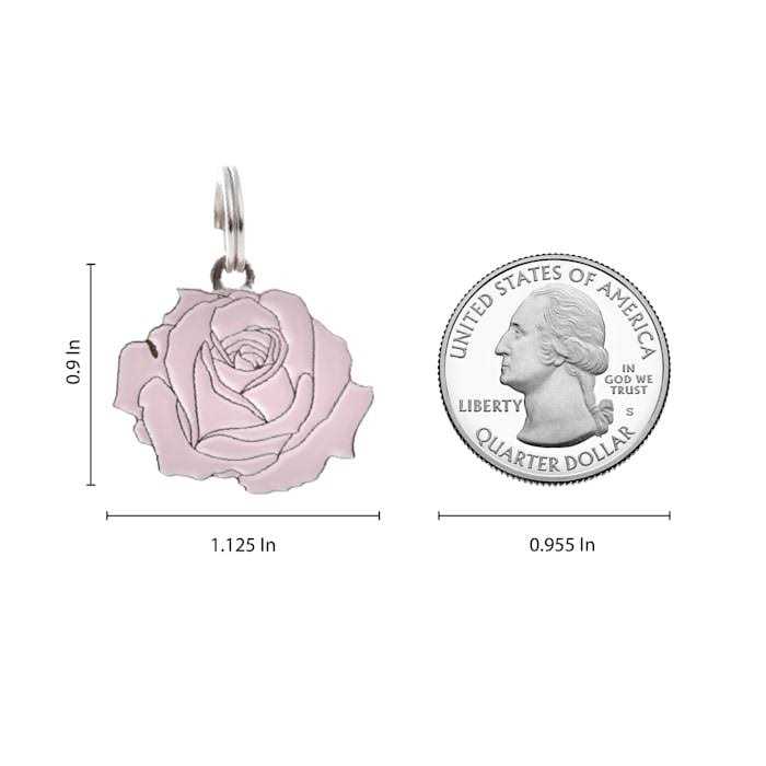 Rose Pet D96376