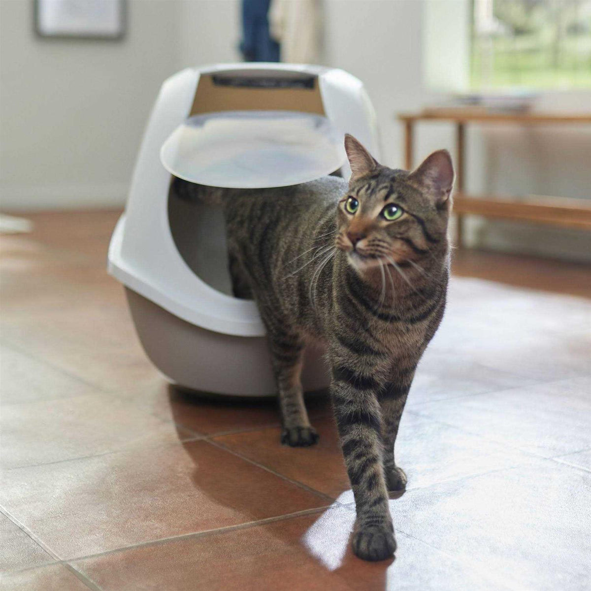 Hooded Cat Litter Box S770468