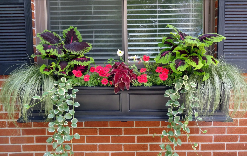 Black Self-Watering Window Box Planter S8705