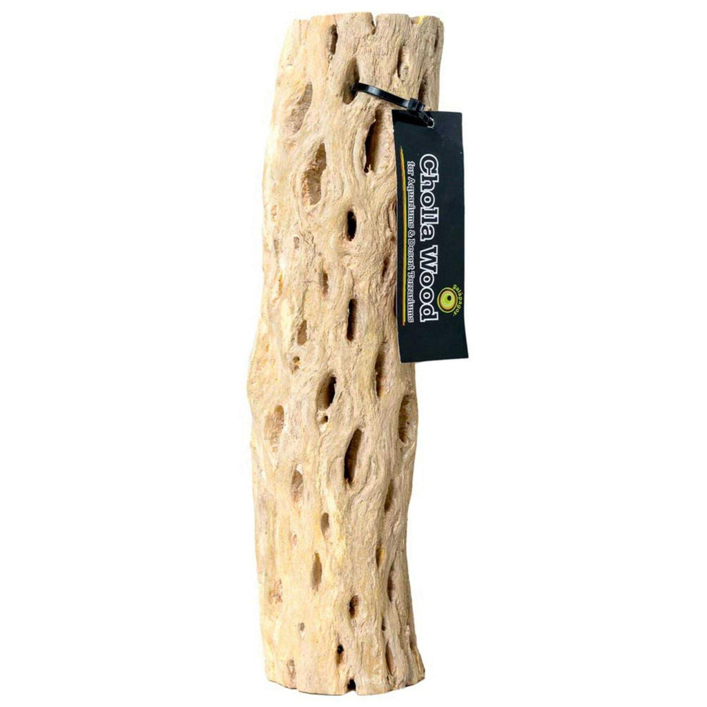Cholla Wood T950