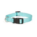 Adjustable Dog Collar F619621