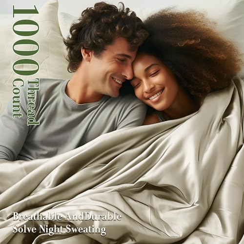 Queen Size 1000 Thread Count 100% Egyptian Cotton Sheets Set - 4 Piece (Dark Grey) W478