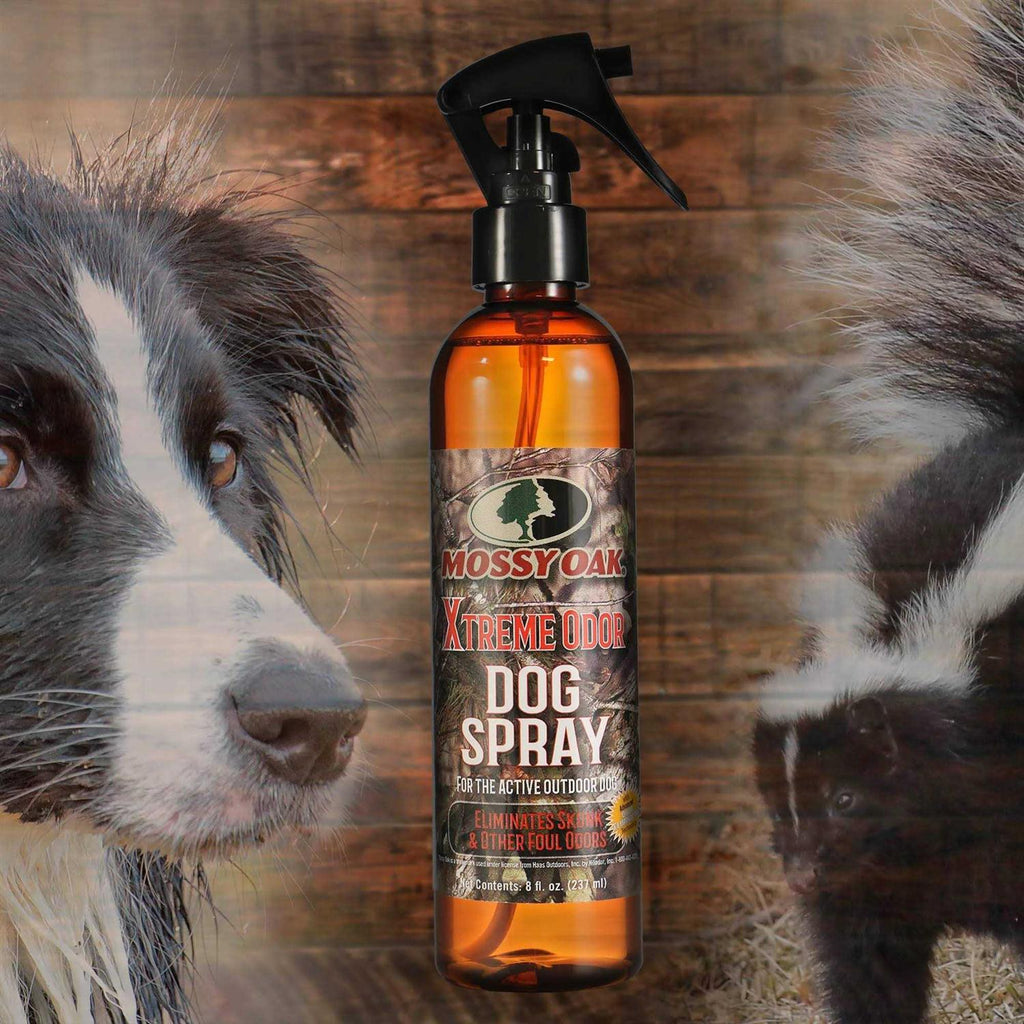 Odor Dog Spray Z9125