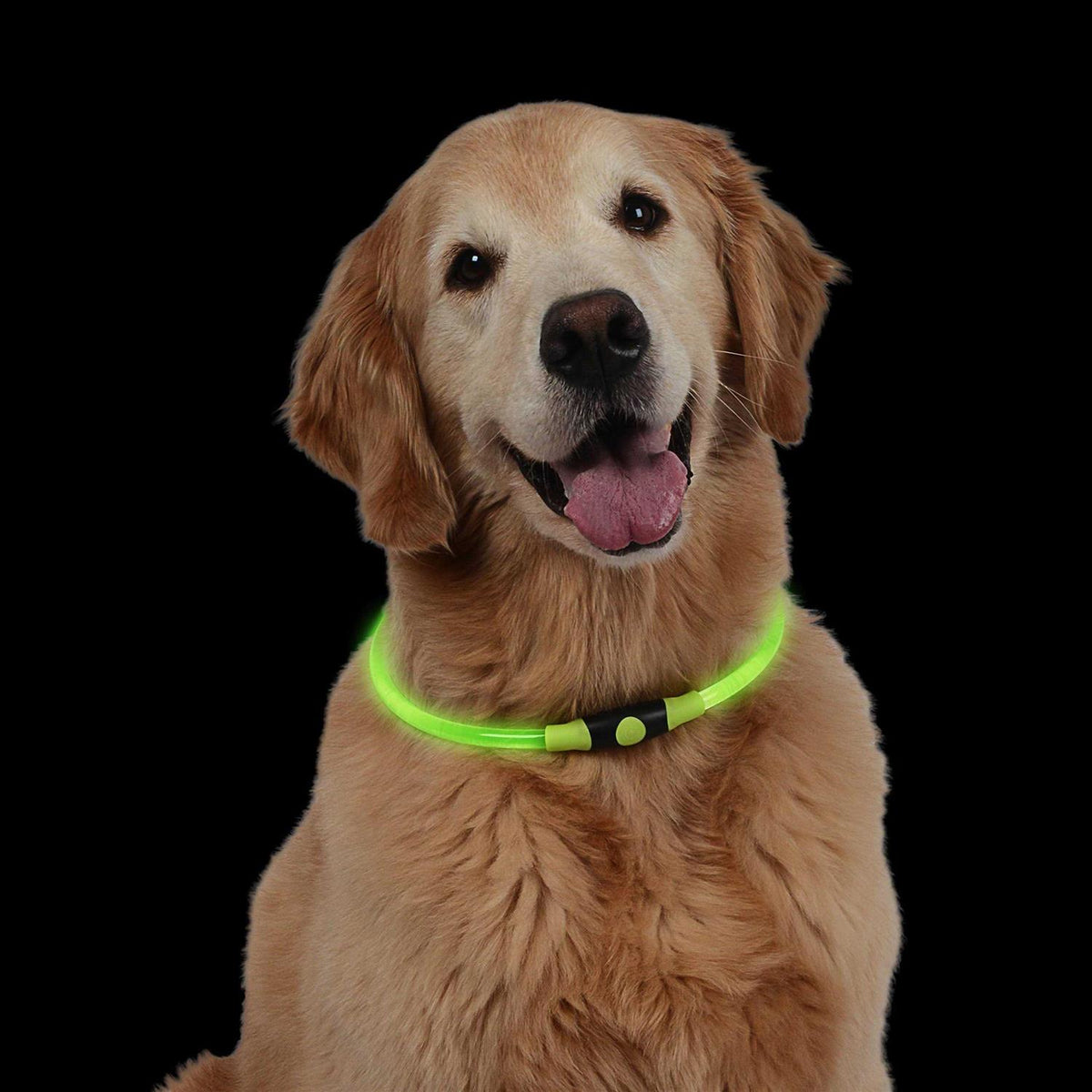 LED Safety Necklace H455