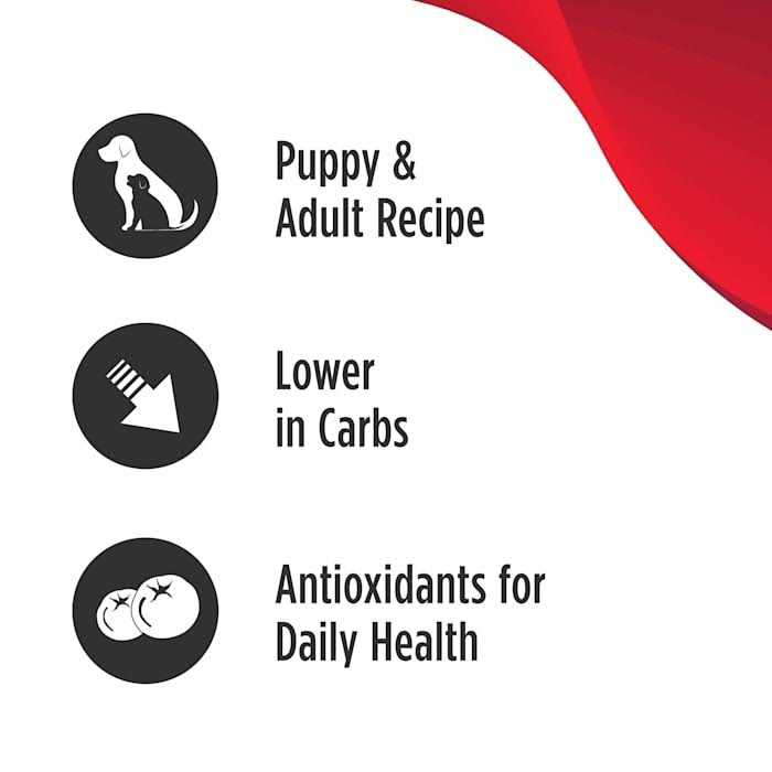 Grain Free Salmon Dog Food B29764