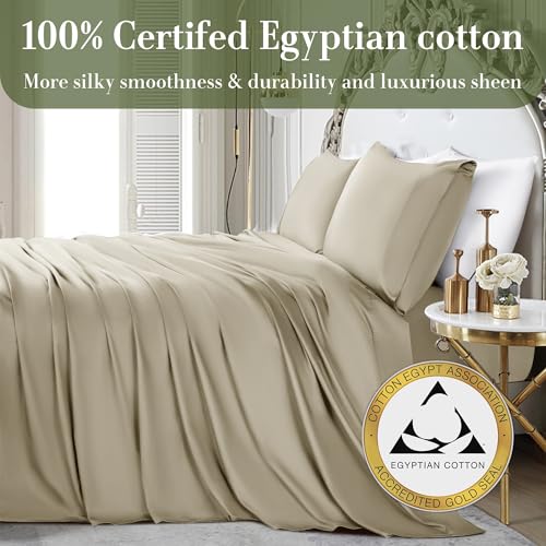 Queen Size 1000 Thread Count 100% Egyptian Cotton Sheets Set - 4 Piece (Dark Grey) W478