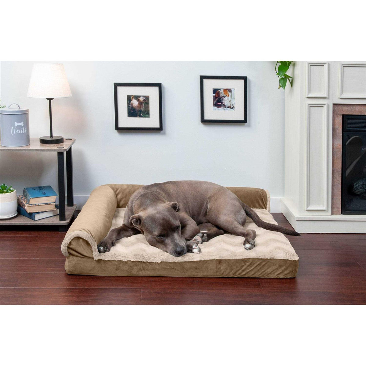 Velvet Chaise Lounge Dog Bed P3005