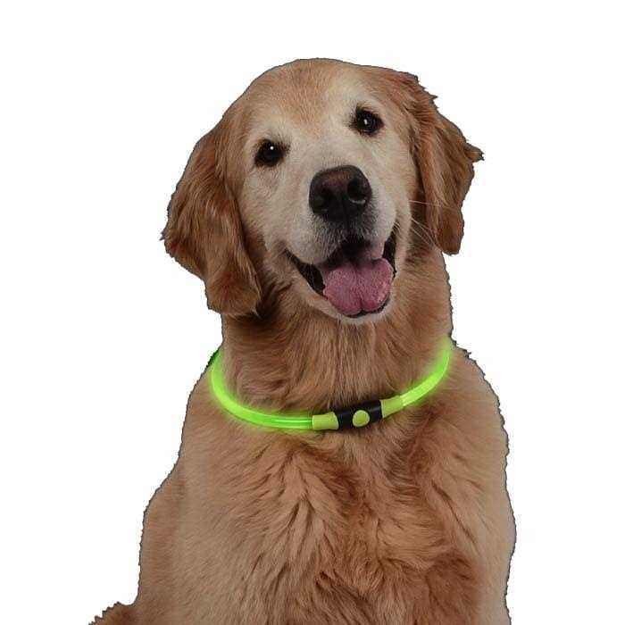 LED Safety Necklace H455