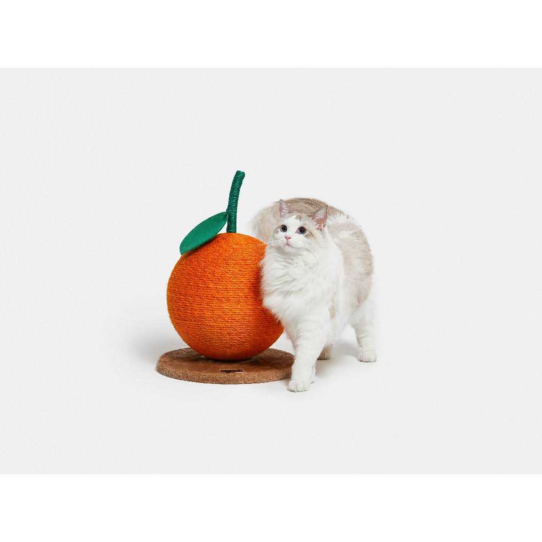 Cat Scratching Ball Toy P32713