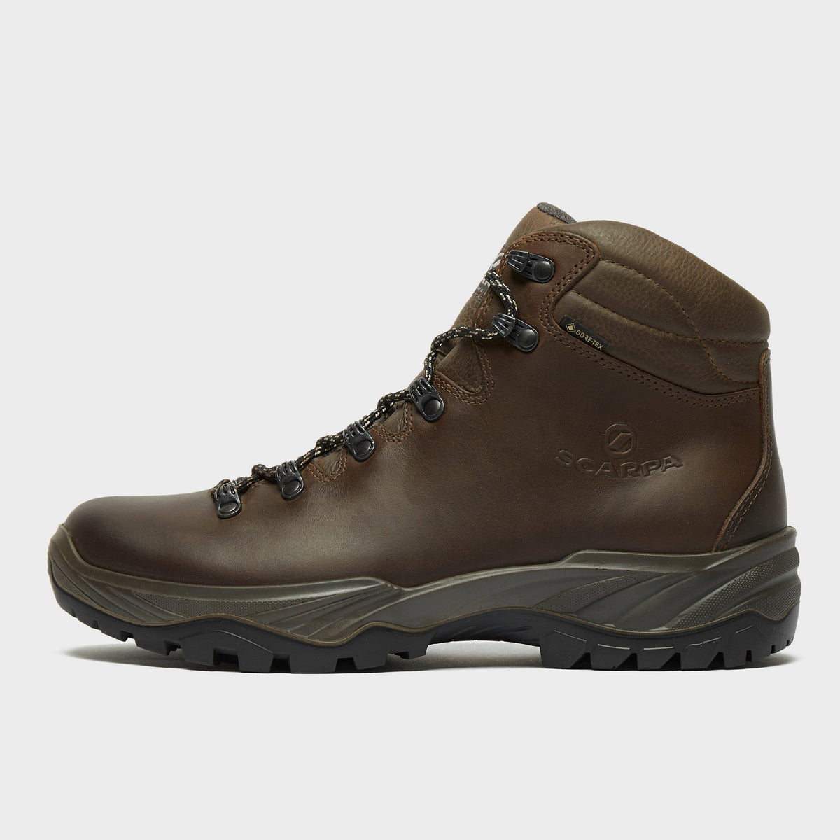 Brown Terra GTX Shoes P44495