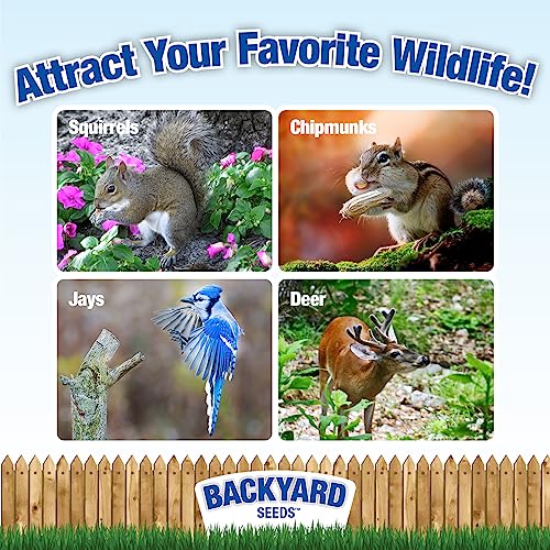 8 lb Squirrel & Chipmunk Food Mix with Sunflower Seeds, Peanuts & Corn D299768
