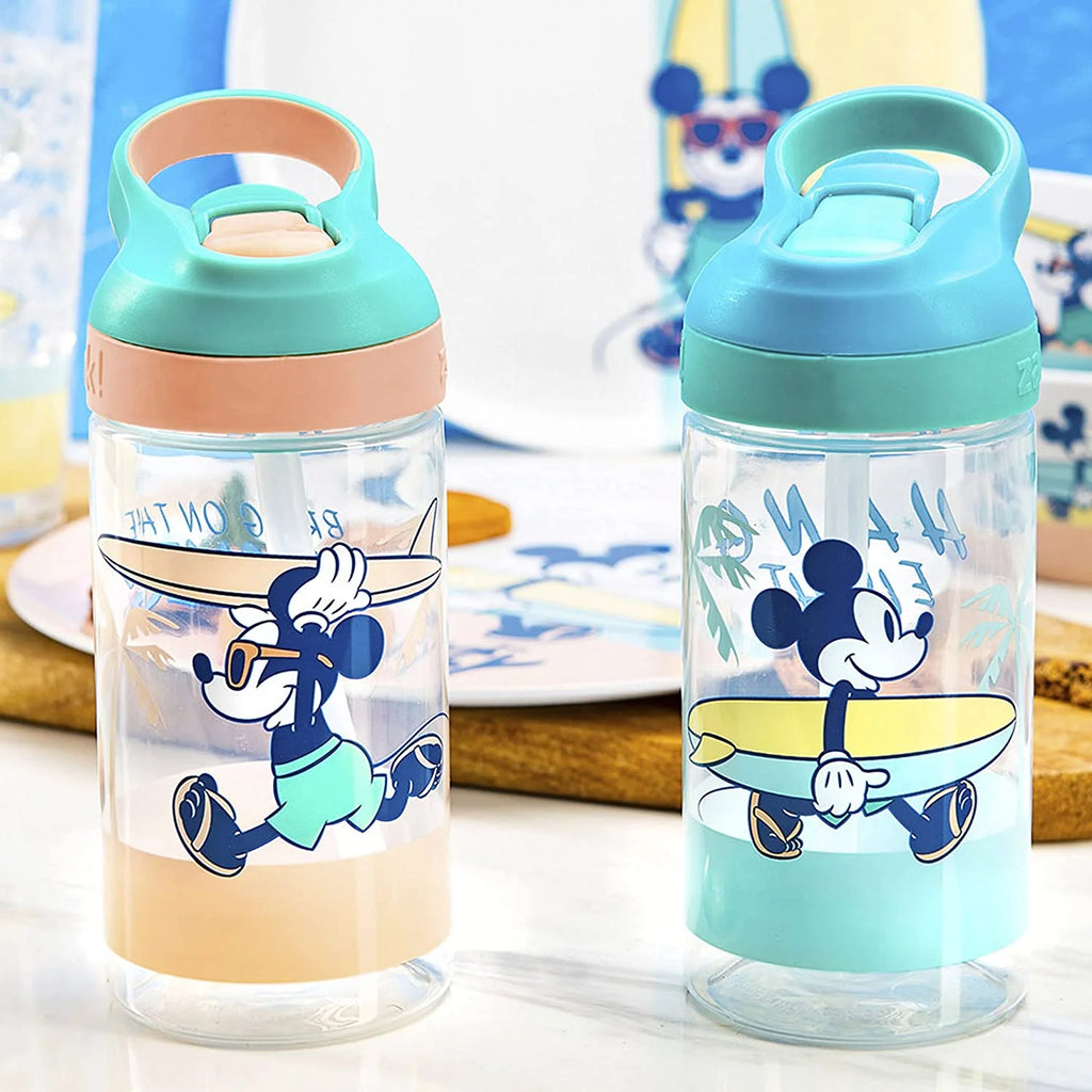 16oz 2 Pieces BPA-Free Plastic Kids Water Bottle with Straw E1292