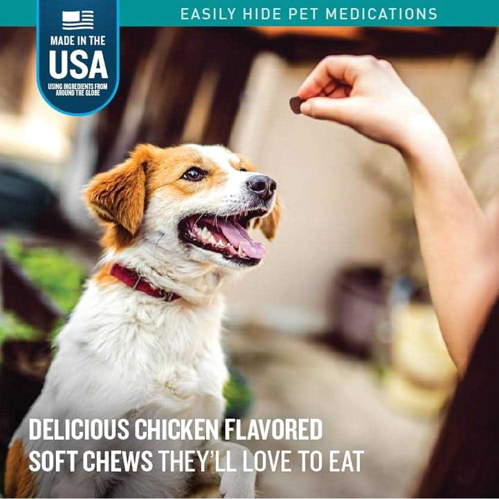 Chicken Pill Treats P739
