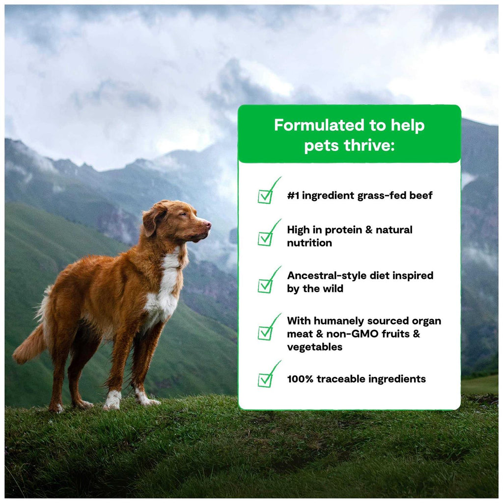 Grain Free Dog Food C8292