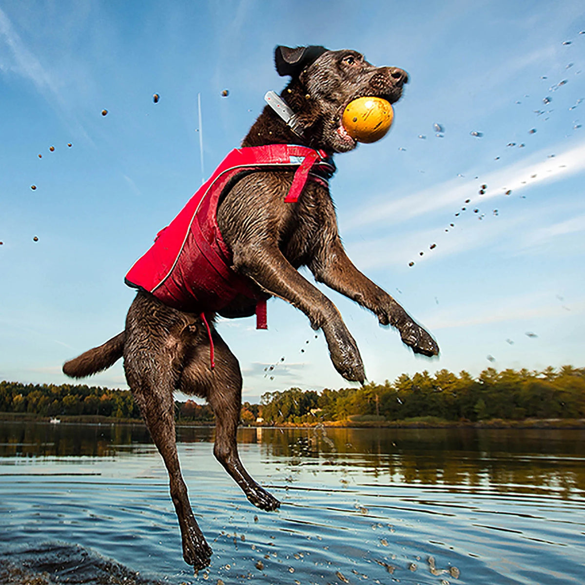 Chili Red Reflective Dog Life Jacket C67496