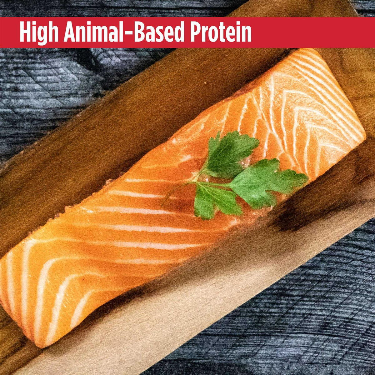 Grain Free Salmon Dog Food B29764