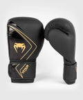 Black Gold 12 oz Boxing Gloves H674396