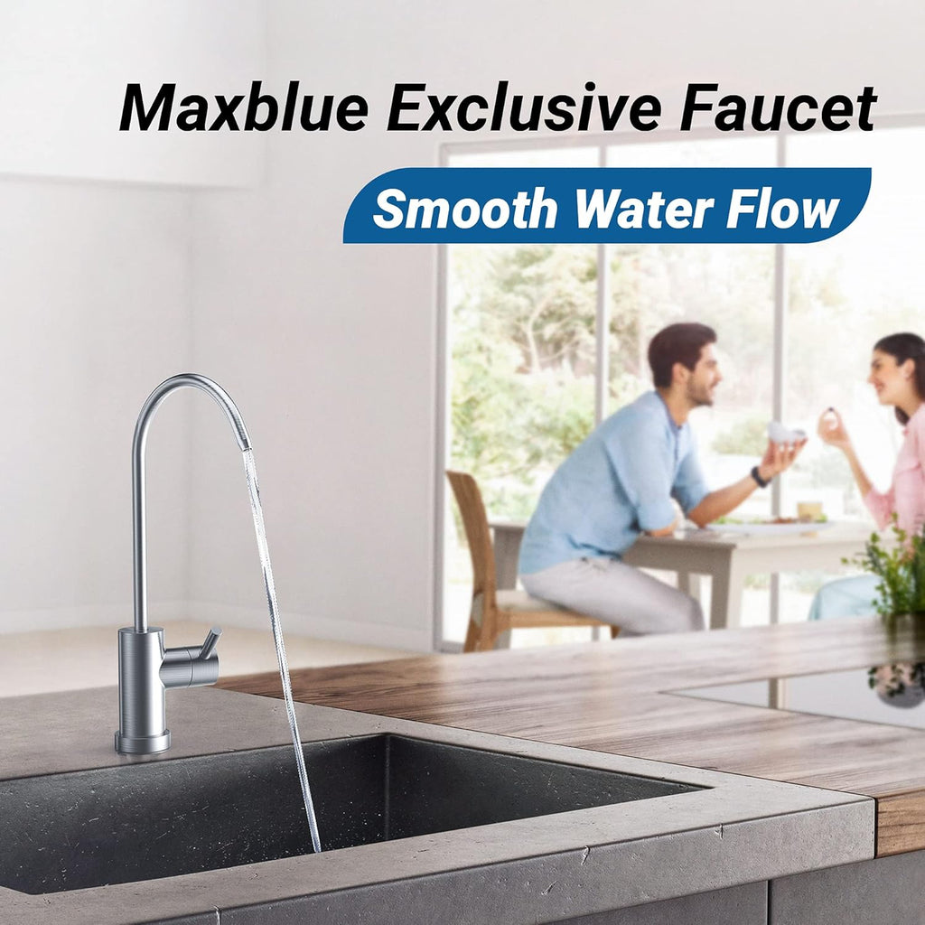 Under Sink Water Filter with Brushed Stainless Steel Faucet E5713