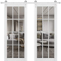 Double Barn Door with Clear Glass 12 lites Matte White X29794